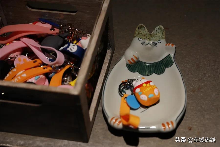 萌化了！十堰茅箭区首届撸猫节，周末约起