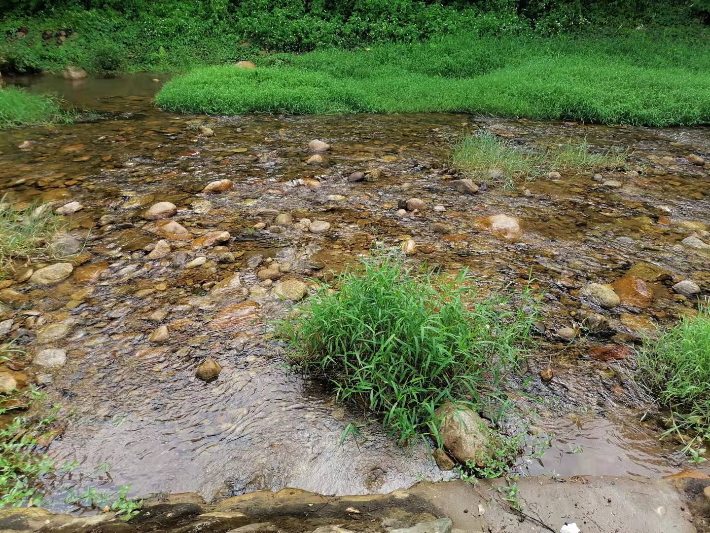惠州罗浮山酥醪景区天然氧吧,罗浮山酥醪村天然氧吧民宿