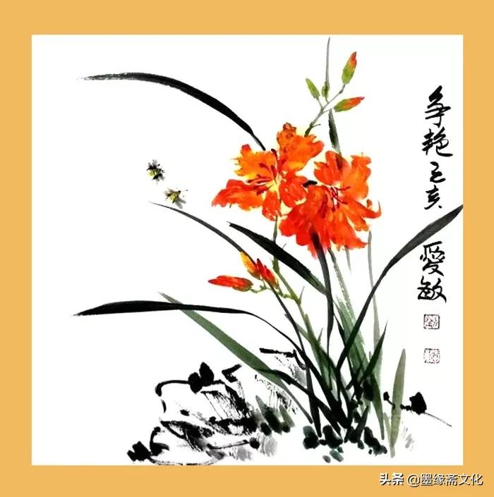 刘忠陵兰花作品欣赏,写实画兰草作品欣赏