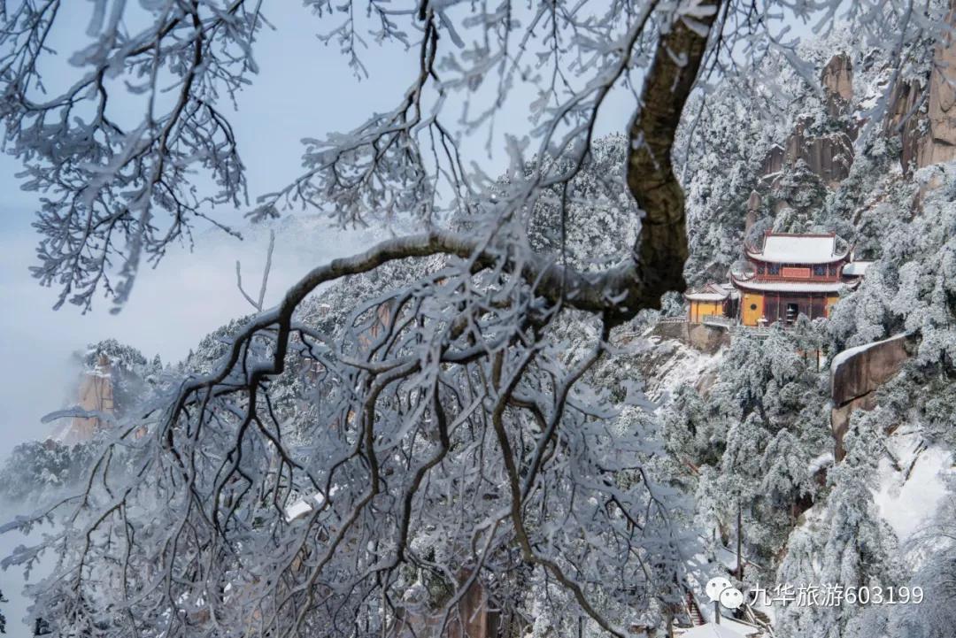 这样生活的九华土著，才是真正的人生赢家