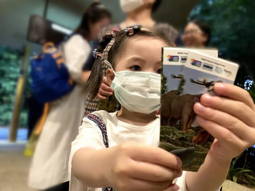 疫情期间去埃及旅游的亲历,疫情期间从深圳直飞洛杉矶体验