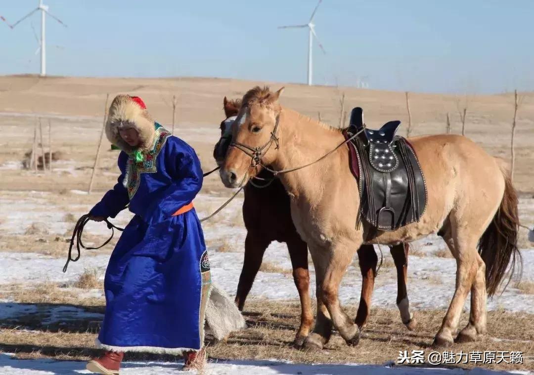 今年冬季锡林郭勒在等你，看燃情冰雪，尝美味蒙餐，听温情牧歌