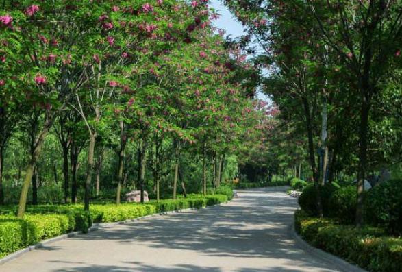 河南许昌鄢陵县是花木之乡,河南的李白故里