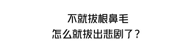 鼻毛被拔出来,鼻毛为什么轻轻一拔就掉了
