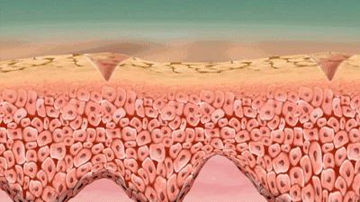 口腔专用香水,能持久留香的口腔香水