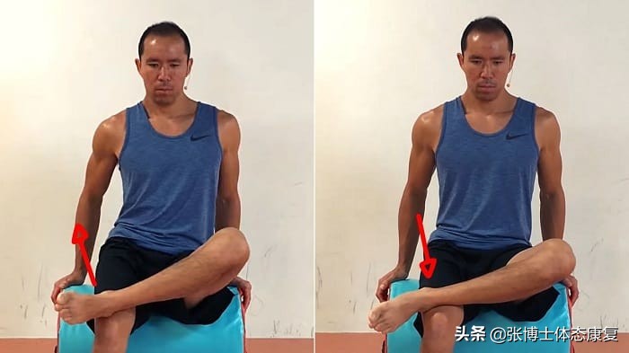 髋关节功能训练功效,髋关节功能障碍的康复训练