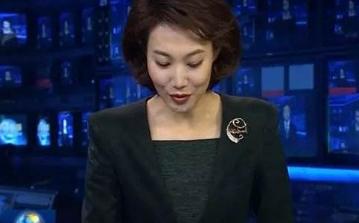 罗京现场播报,罗京个人资料简介及