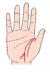 手相解密,手相掌纹分析学
