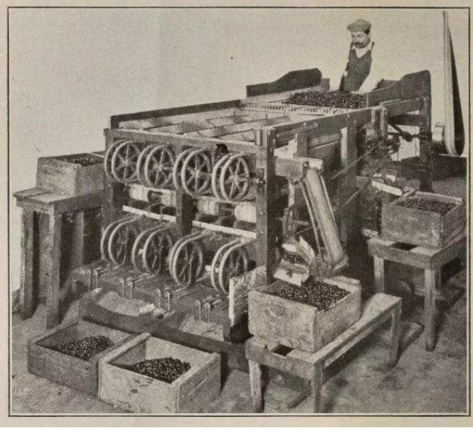 千古之谜的谜底,千古谜团未解之谜