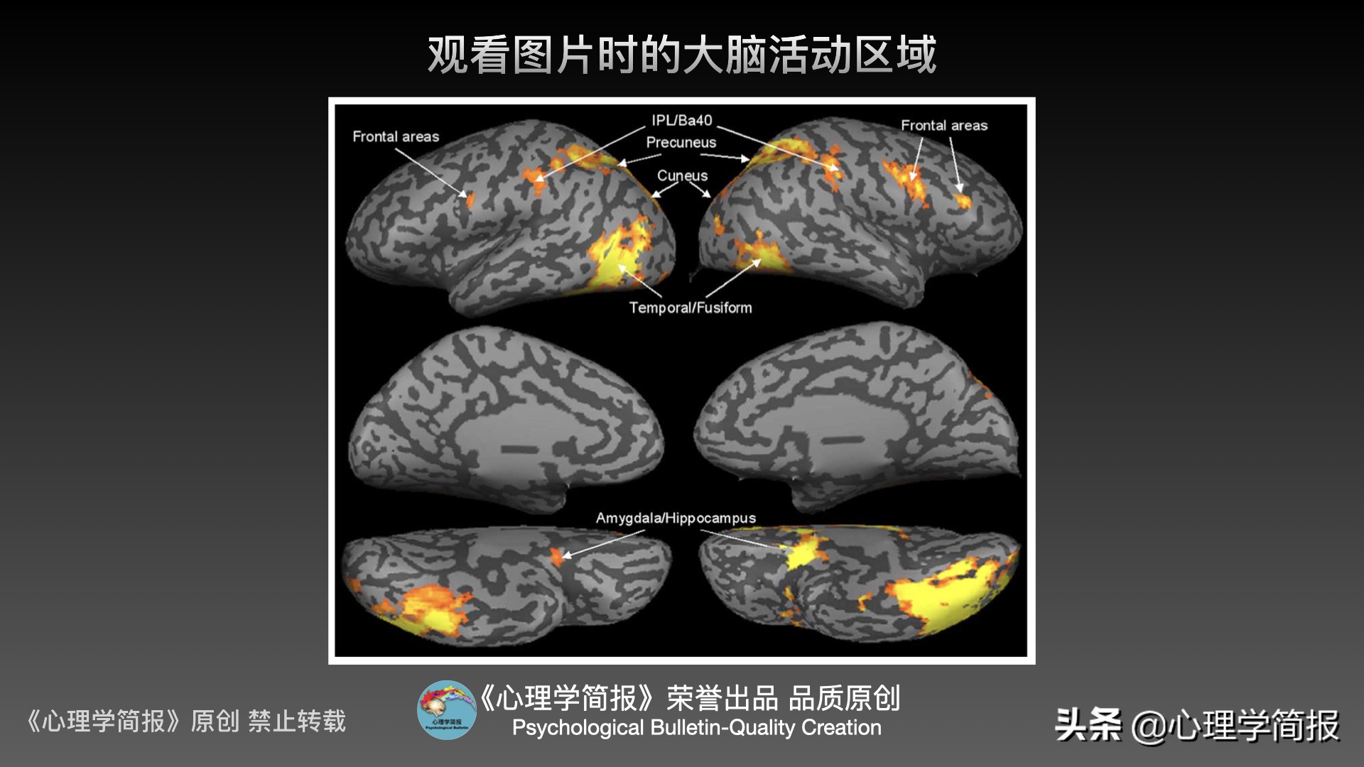 男人性心理机制｜意大利心理学家：是否有生理反应属大脑不同活动