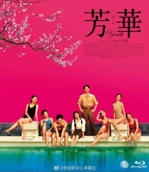 芳华所有系列及图片,电影芳华的碟片