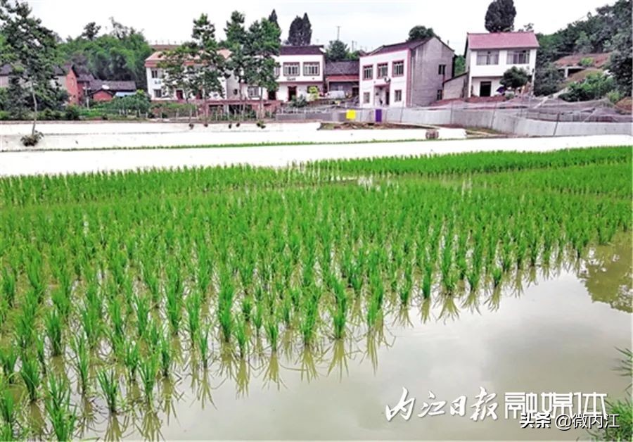 内江增长迅速,内江继续前进