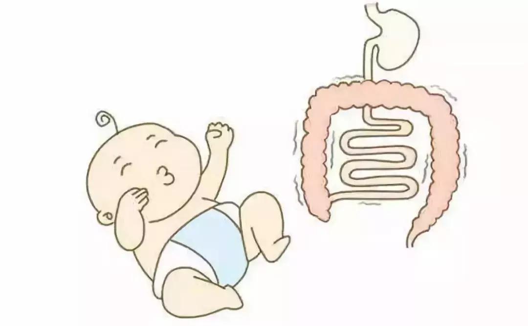 新生儿菌群主要来自什么地方,宝宝建立菌群的时间