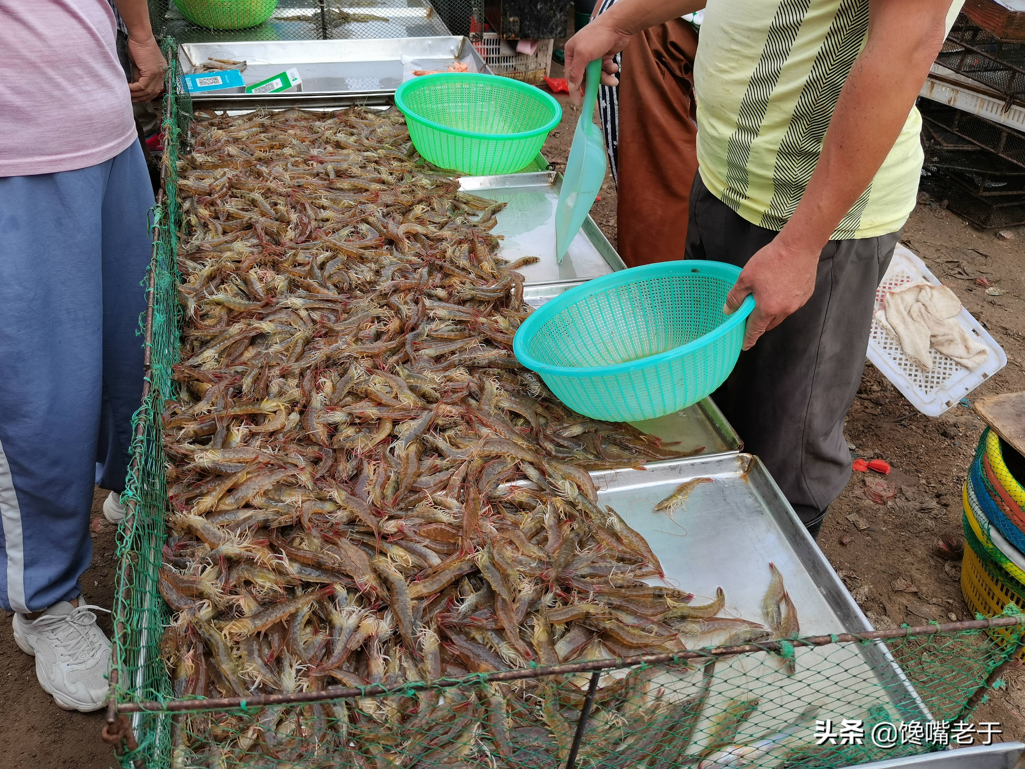 鲜虾怎么保存新鲜又长久,鲜虾活虾怎么保存