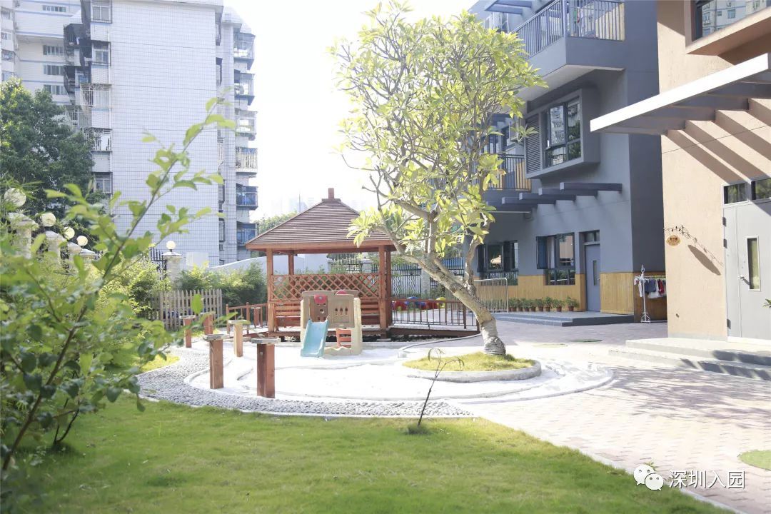 深圳100所幼儿园名单,深圳哪里公立幼儿园好进