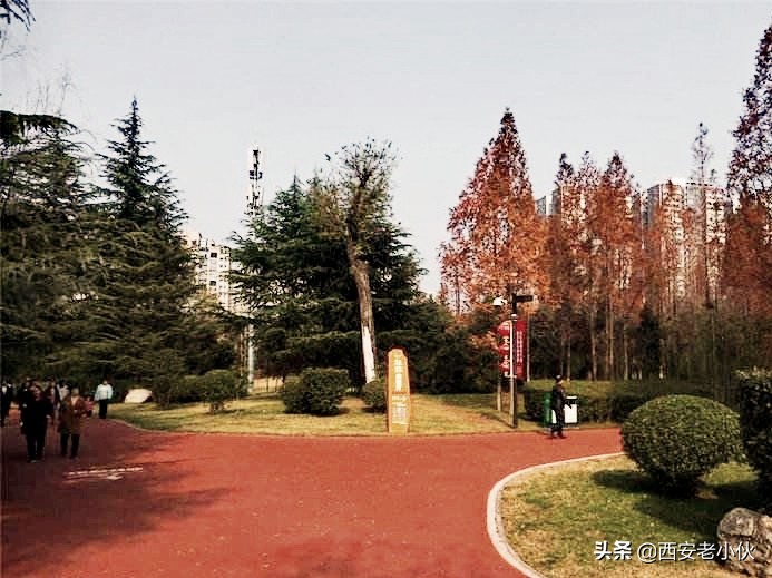 西安哪里有免费的体育运动场地,西安超级运动公园