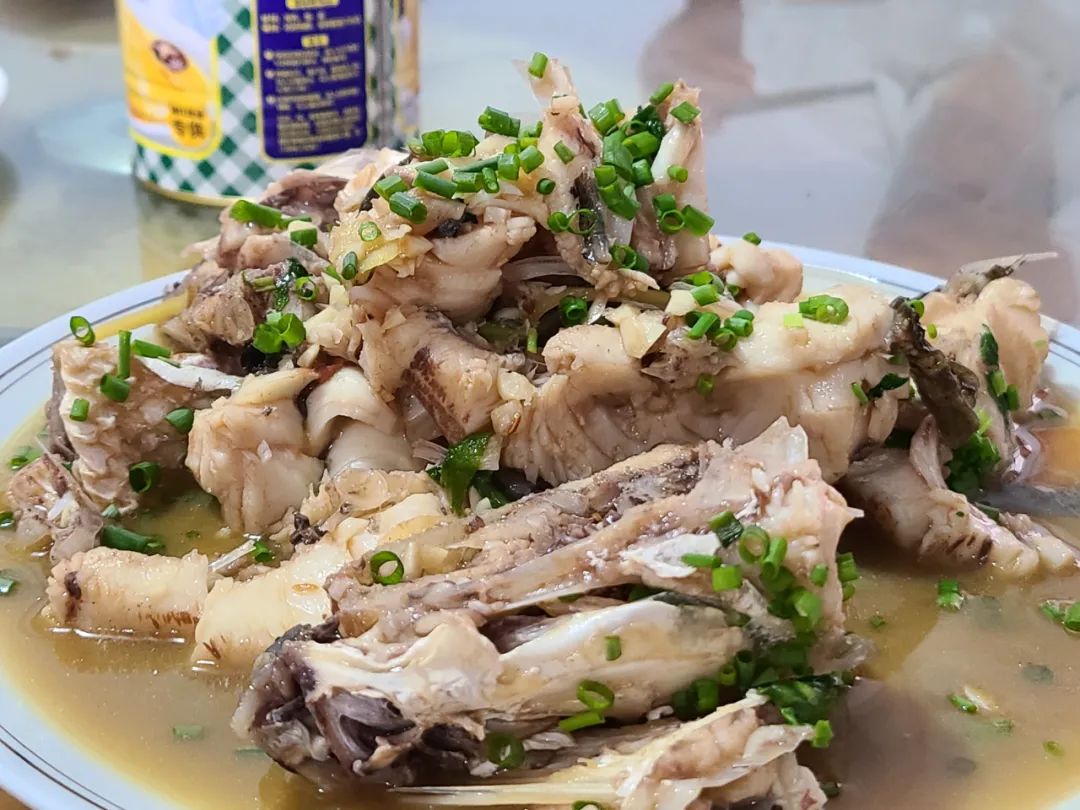 海南旅游纪实,海南旅游记录视频