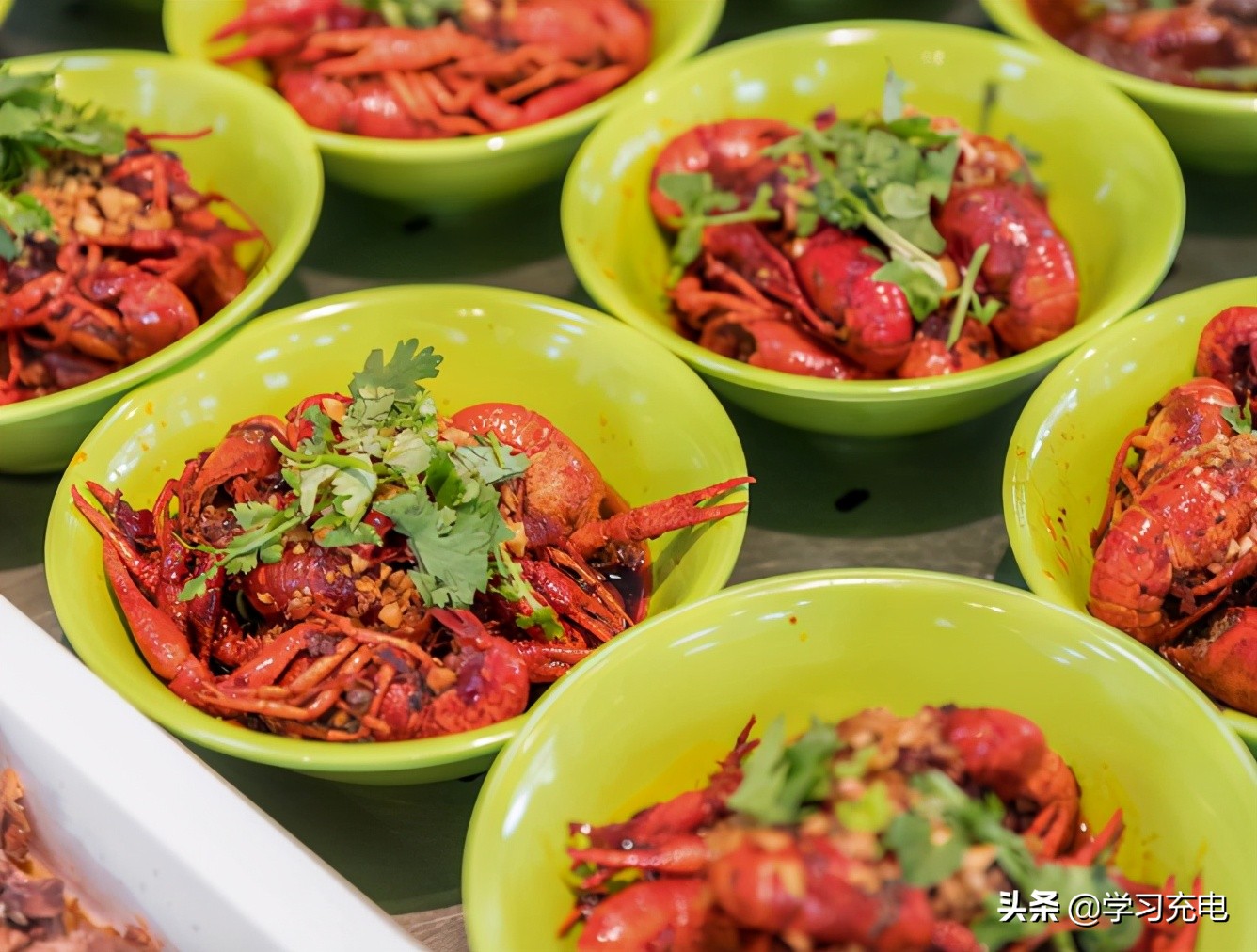 中科大学费和生活费要多少,中科大学费最便宜的专硕