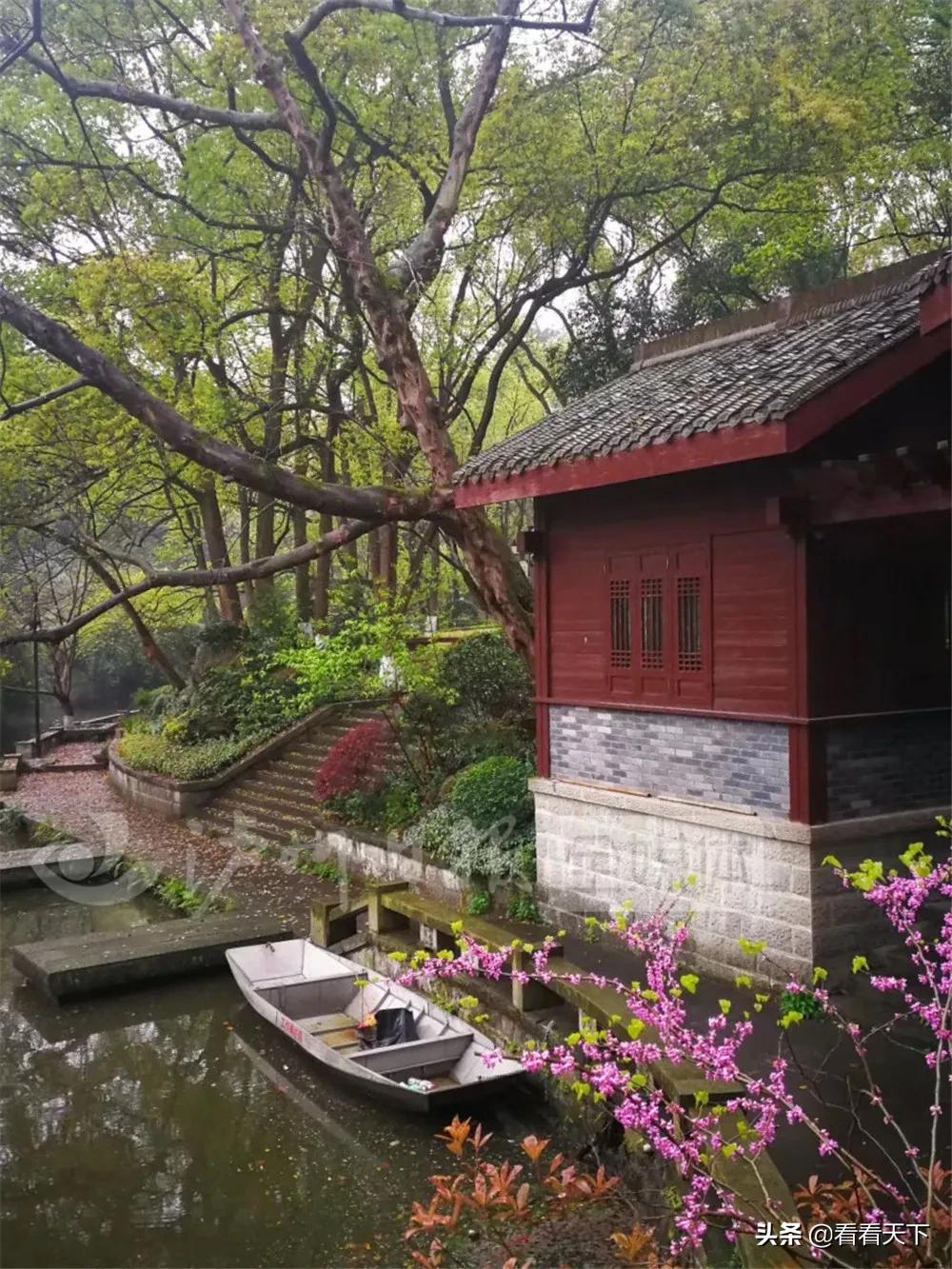 泸州四季花海开放了吗现在,泸州3月赏花胜地心花怒放在哪