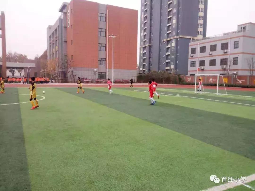 育红小学足球比赛,育红小学2024运动会