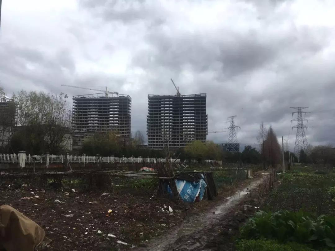 无人超市导购员现状,无人超市收银员要失业吗