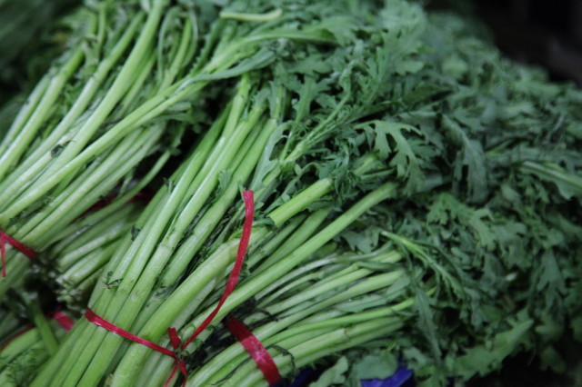 八月份最适合种的蔬菜,八月份都种什么蔬菜最合适南方