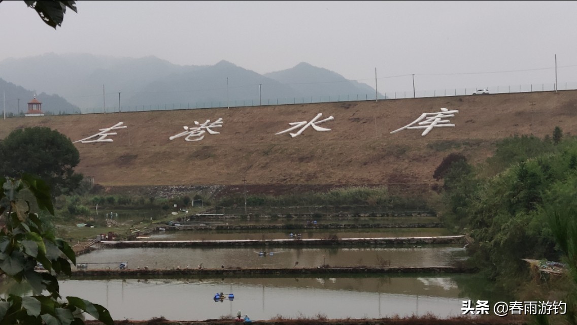 钓鱼水库窝料怎么选择,野钓窝料的打法