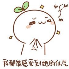 性价比高的千兆路由器推荐,百元软路由推荐