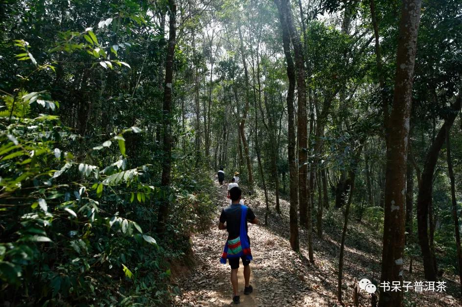高山寨与天门山,高山寨和天门山