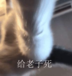 宋祖儿牙齿是烤瓷牙吗,宋祖儿牙齿