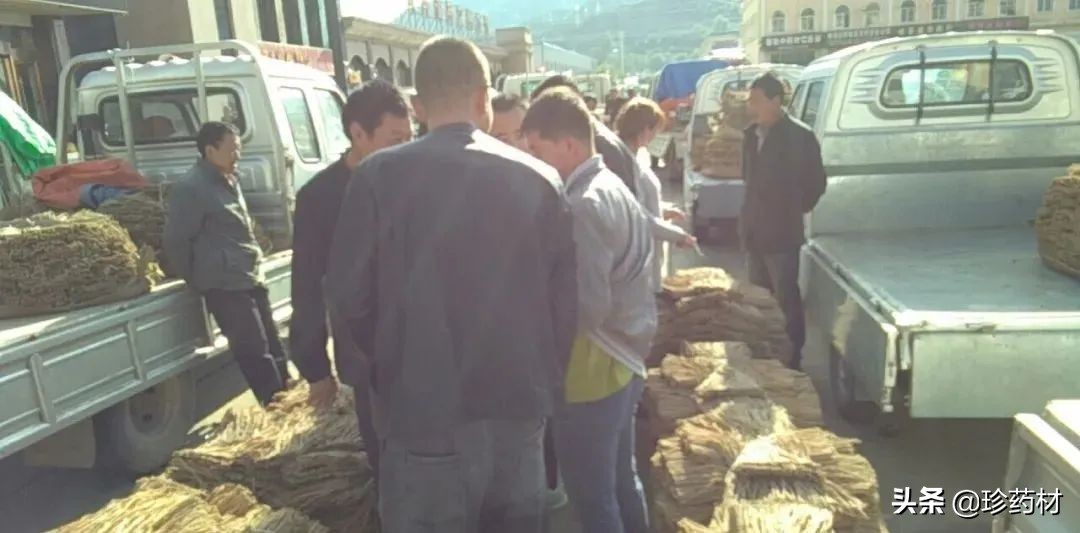 药材市场今日观察第五期,药材市场每日观察二十四期