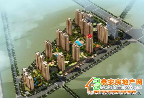 泰山区足球比赛中小学,2019年泰山杯