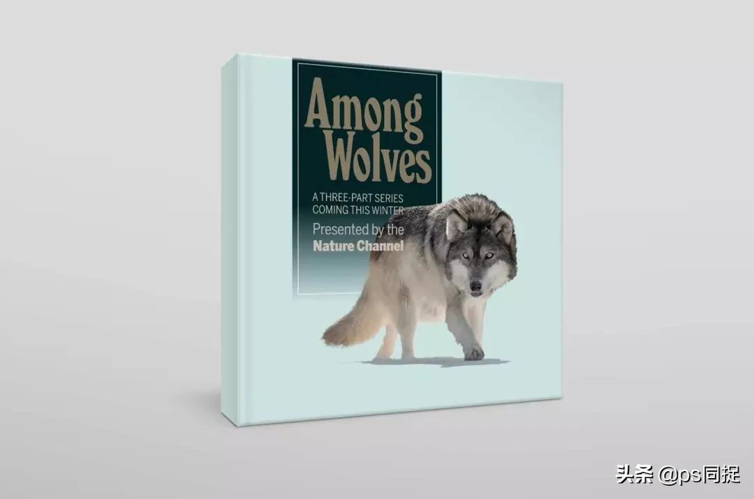 jpg图片批量裁切,如何快速批量裁切图片