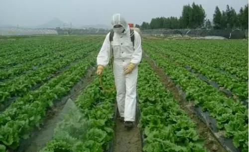 蚜虫怎么防治不用药物的情况下,蚜虫的发生规律和防治方法