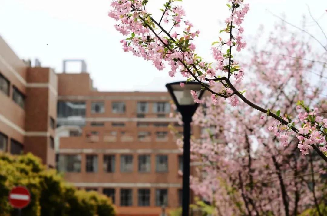 杭州美职学校风景,杭州美丽学校评选