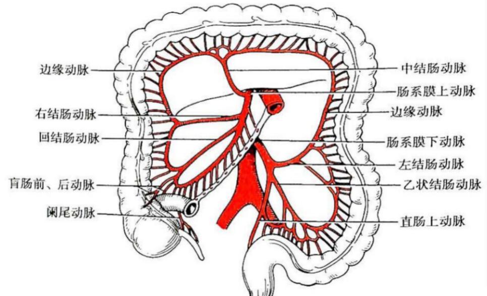 新冠心绞痛腹痛怎么办,突发严重胸痛警惕主动脉夹层