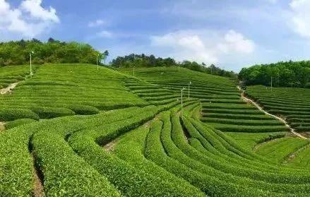 农业农村部循环农业项目申报,农业农村部休闲农业项目补贴