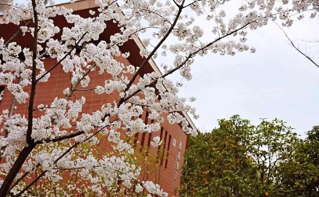 泰州职业技术学院招生咨询,泰州职业技术学院2019年招生简章