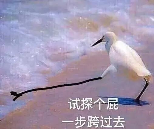 闲鱼违禁商品怎么查,闲鱼违禁词汇总有哪些