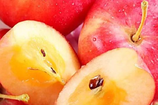 全国各地最全特产,全新疆特产