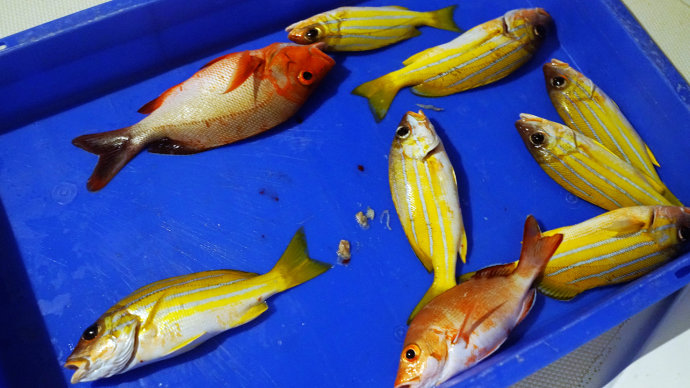 海上香格里拉金町湾,马尔代夫香格里拉隐逸的海岛天堂