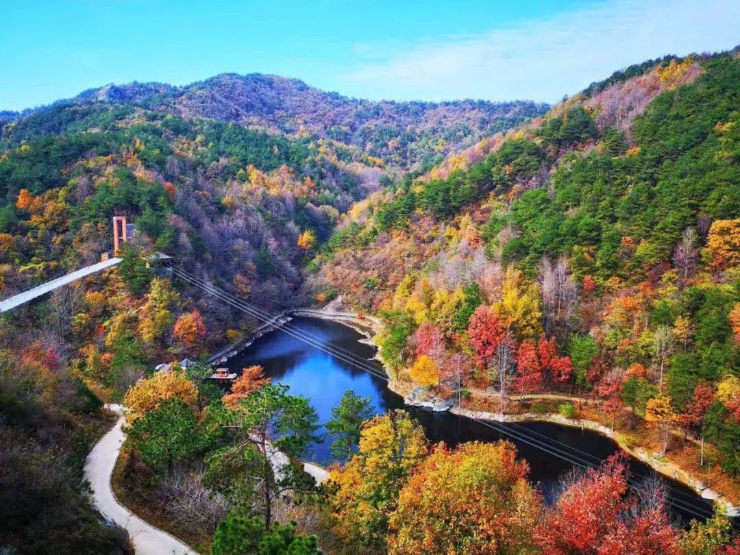 清凉寨春节活动,清凉寨枫叶节