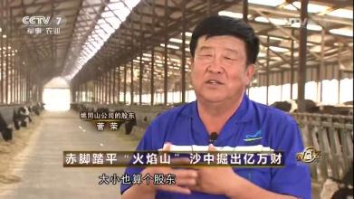央视cctv《致富经》栏目组,致富经栏目养羊致富