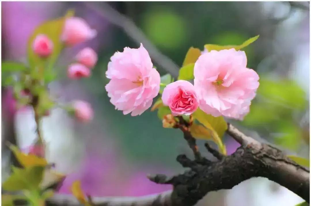 省妇幼最近新闻,省妇幼现在什么情况