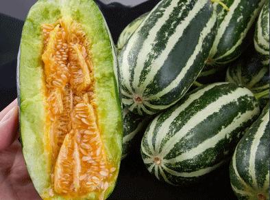 正宗博洋蜜瓜产地,黄洋蜜瓜和博洋蜜瓜区别