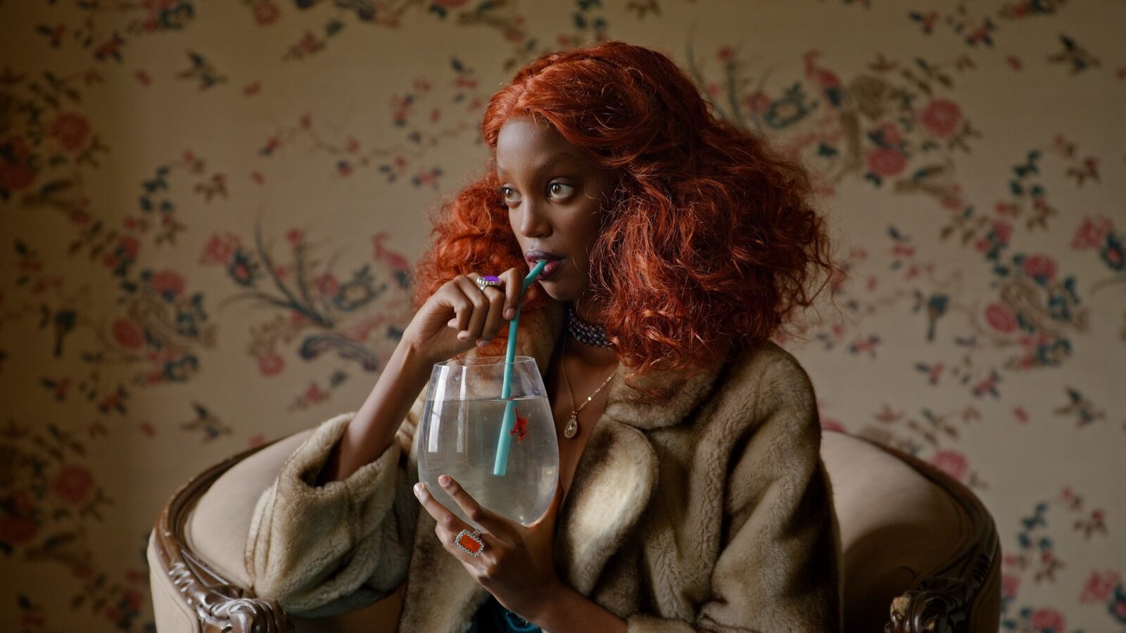 图丽100-300变焦f5.6,图丽100-300镜头无法变焦