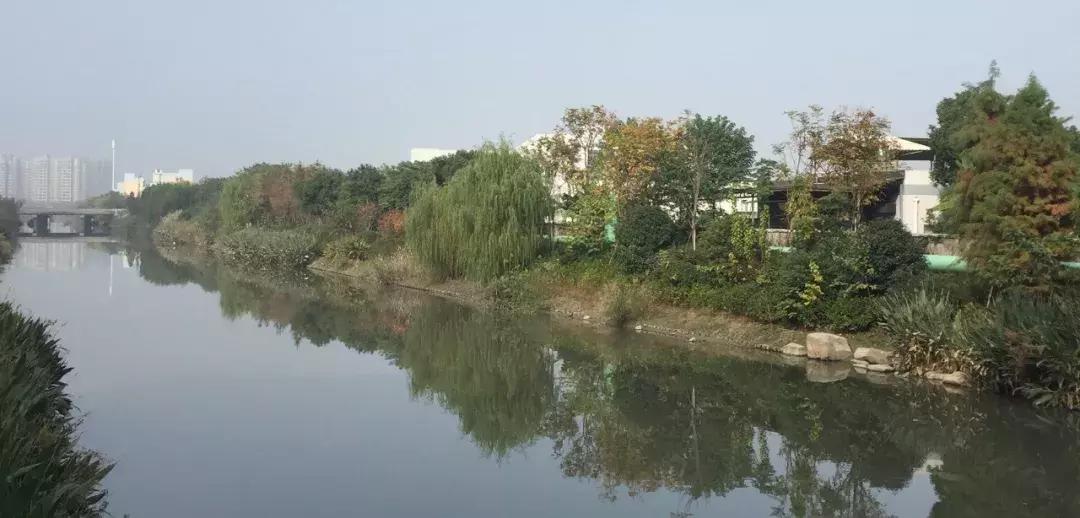 中铁九逸得房率,杭州临平房价中铁九逸