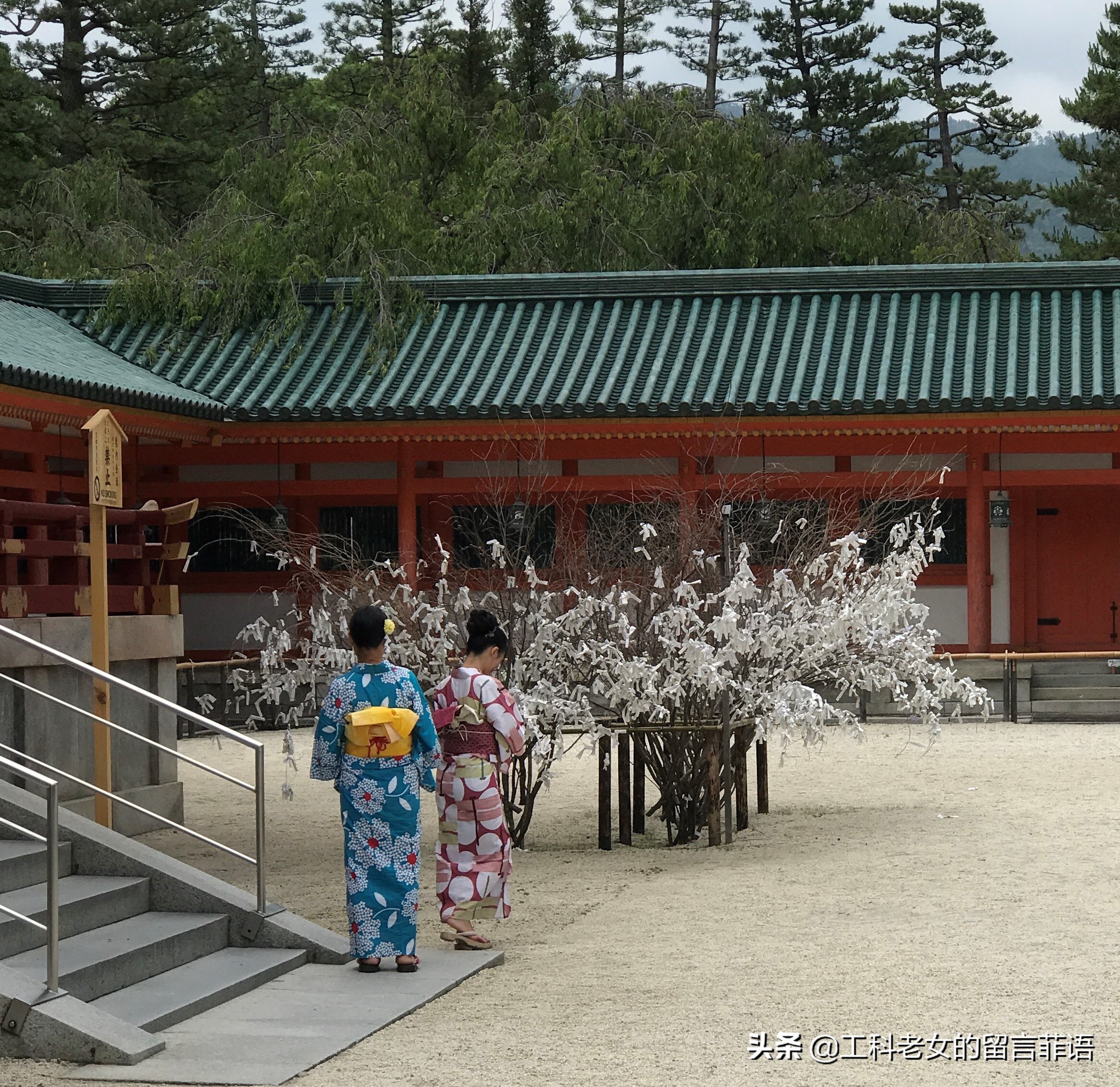 京都之因喜欢这神社的名字就在此卜了一签,却不认字