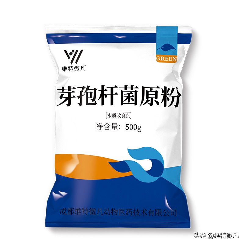池塘闻到下风口有腥臭味，说明池塘整个养殖环境已经恶化了