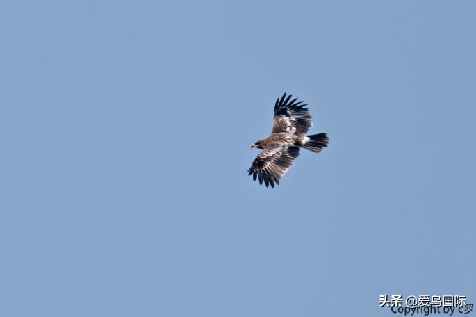 索尼selp1670镜头评测,索尼alpha9镜头